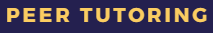 peer tutor